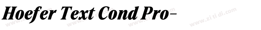 Hoefer Text Cond Pro字体转换